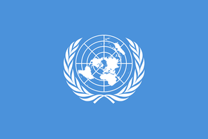 United Nations secondment